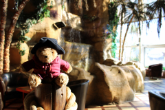 Paddington